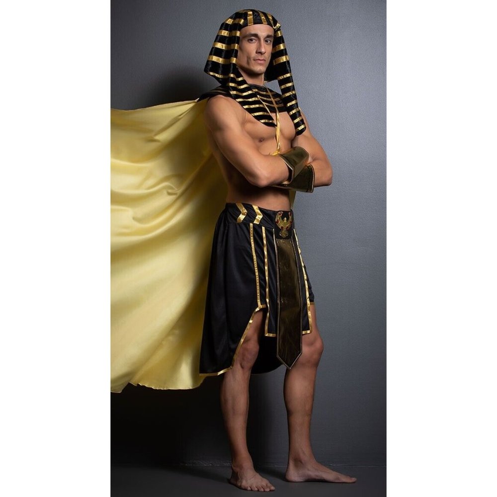 NEW KING OF EGYPT COSTUME Halloween Theatre Mens SZ Large Missing Items - Picture 2 of 3